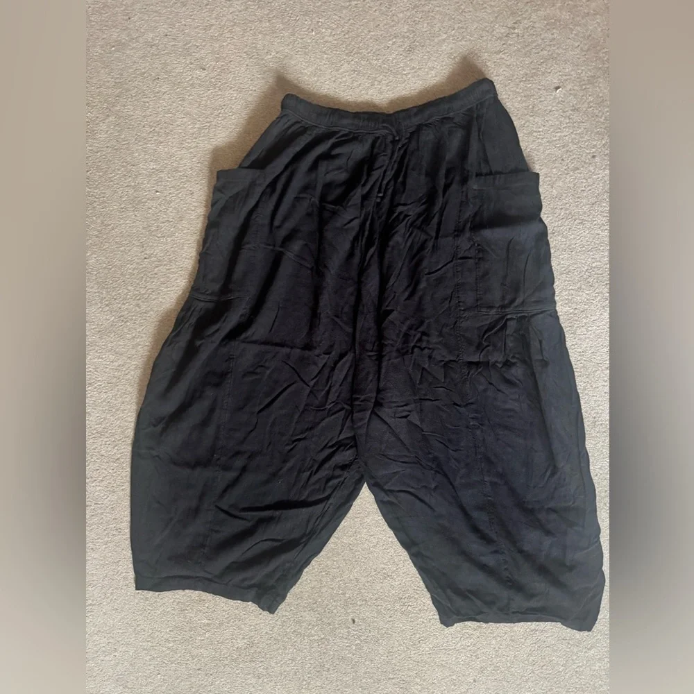 Free People Quinn Pants - Large - Picture 3 of 5